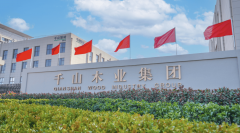 质和环保机能备受消费者关心